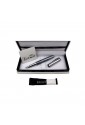 Penna Stilografica Argento 6011/02S