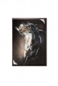 Quadro Acca Cavallo Argento QD.575 17X24