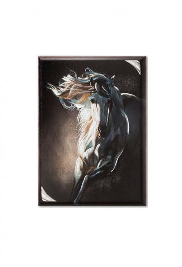 Quadro Acca Cavallo Argento QD.575 17X24