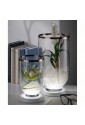 Vaso Lampada Base Luminosa Led Vetro Bordo Argentato Regalo Nozze Acca V.923 LA