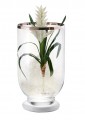 Vaso Lampada Base Luminosa Led Vetro Bordo Argentato Regalo Nozze Acca V.923 LA