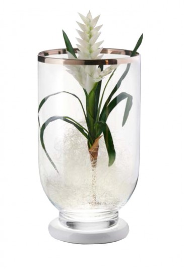 Vaso Lampada Base Luminosa Led Vetro Bordo Argentato Regalo Nozze Acca V.923 LA