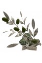 Ramo Di Ulivo Argentato Pietra Naturale Fuchsite Verde Regalo Matrimonio Cristalloterapia 20x17 NFC R6FPCFM