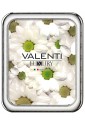 Cornice Portafoto Argento Bilamina 18x24 Valenti 13002/6L